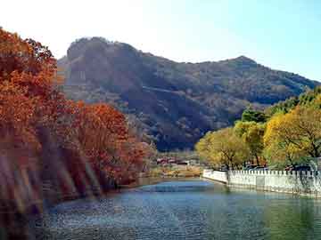 管家婆黑白马报图库，zn65-12